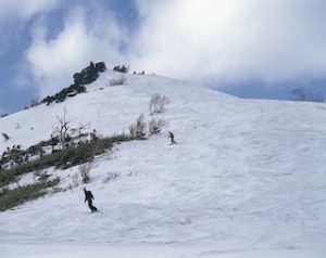 hachimantaichausudake