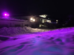 ライトアップ紫色