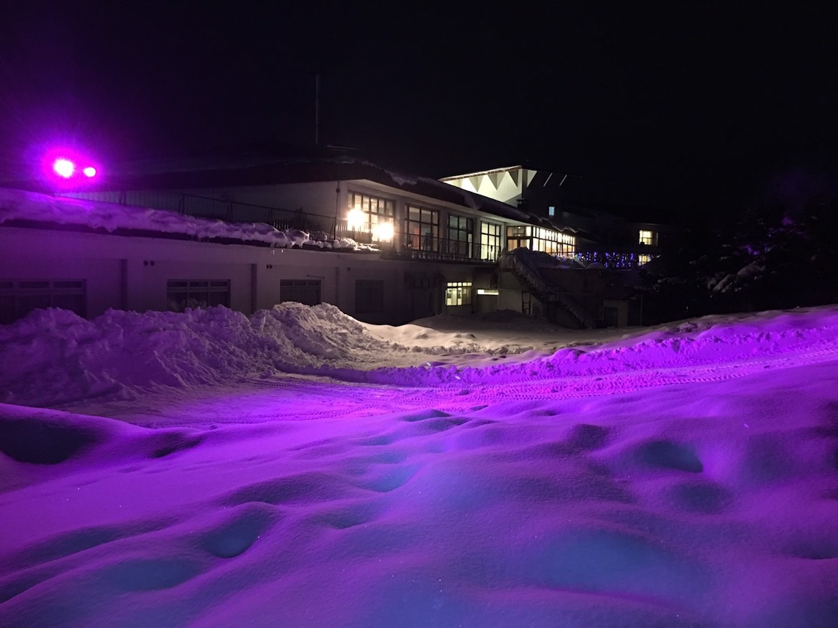 ライトアップ紫色