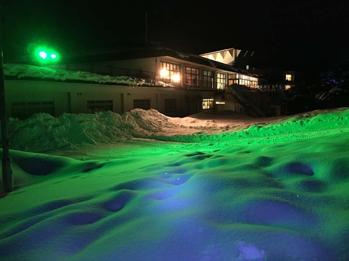 ライトアップ緑色