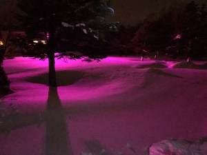 モチーフと赤色