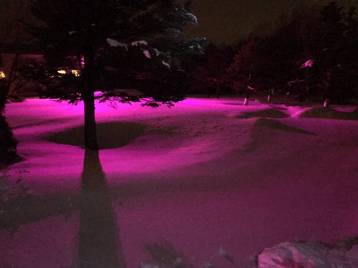 モチーフと赤色