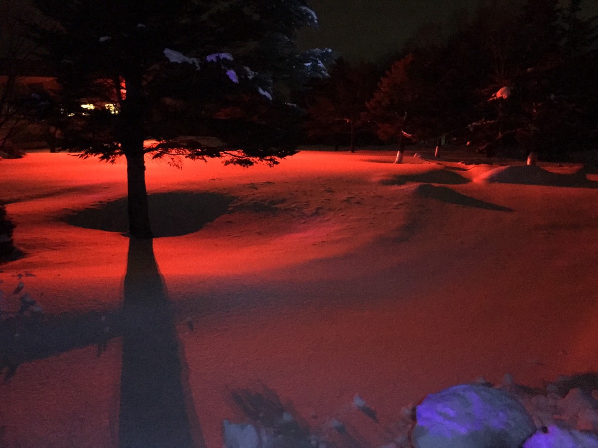 モチーフとオレンジ色