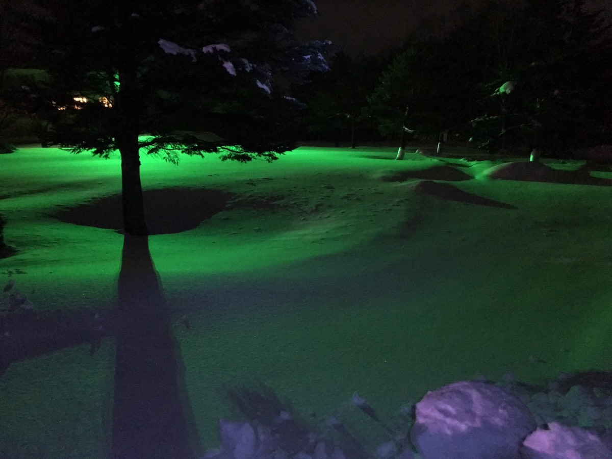 モチーフと緑色