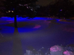 モチーフと青色