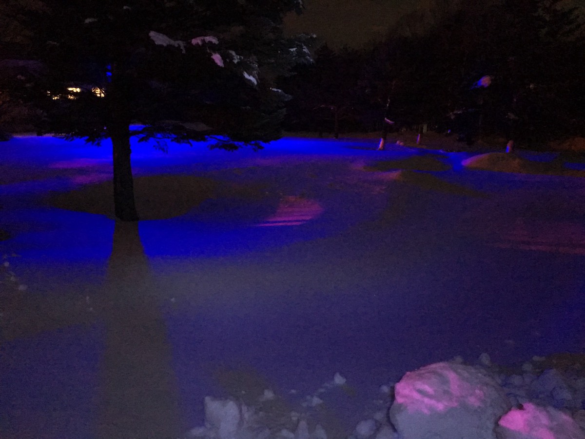 モチーフと青色