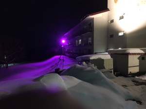 外観と紫色のライトアップ