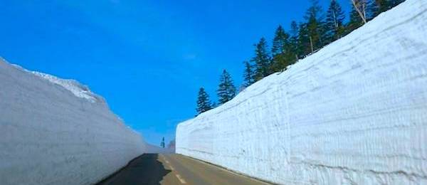 八幡平アスピーテラインの雪の回廊