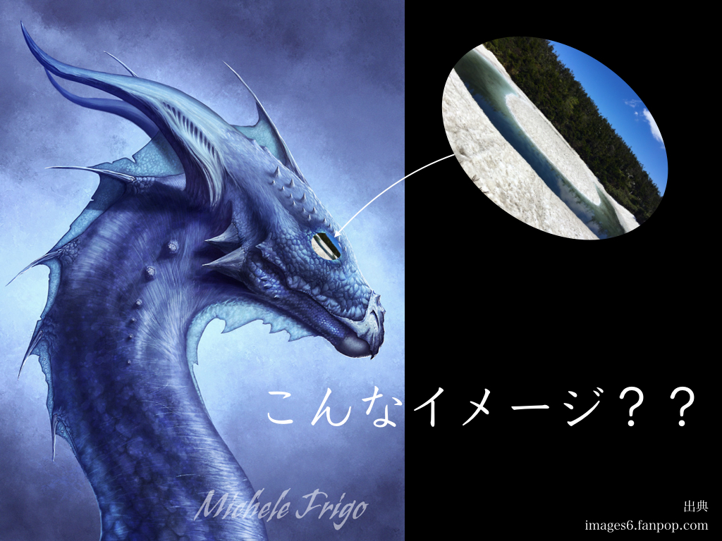 こんないめーじ？ドラゴンアイ